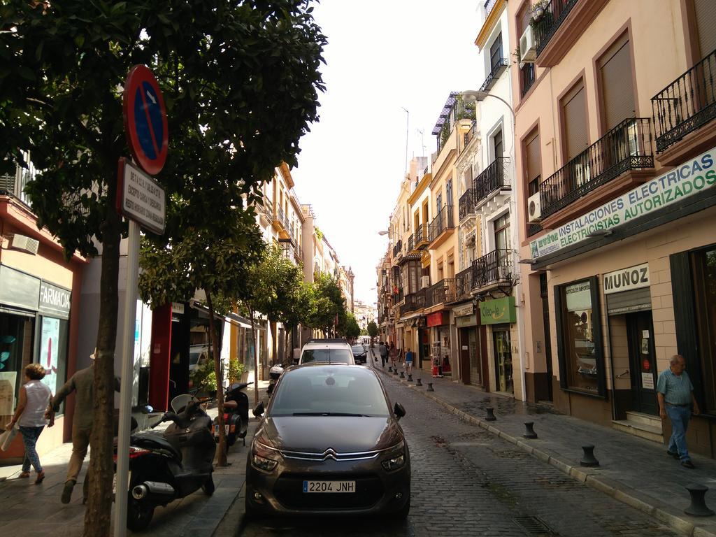 Malhara Seville