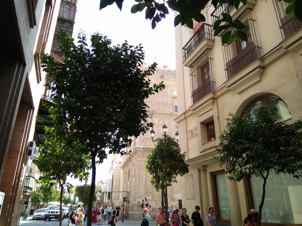 Apartamento Malhara